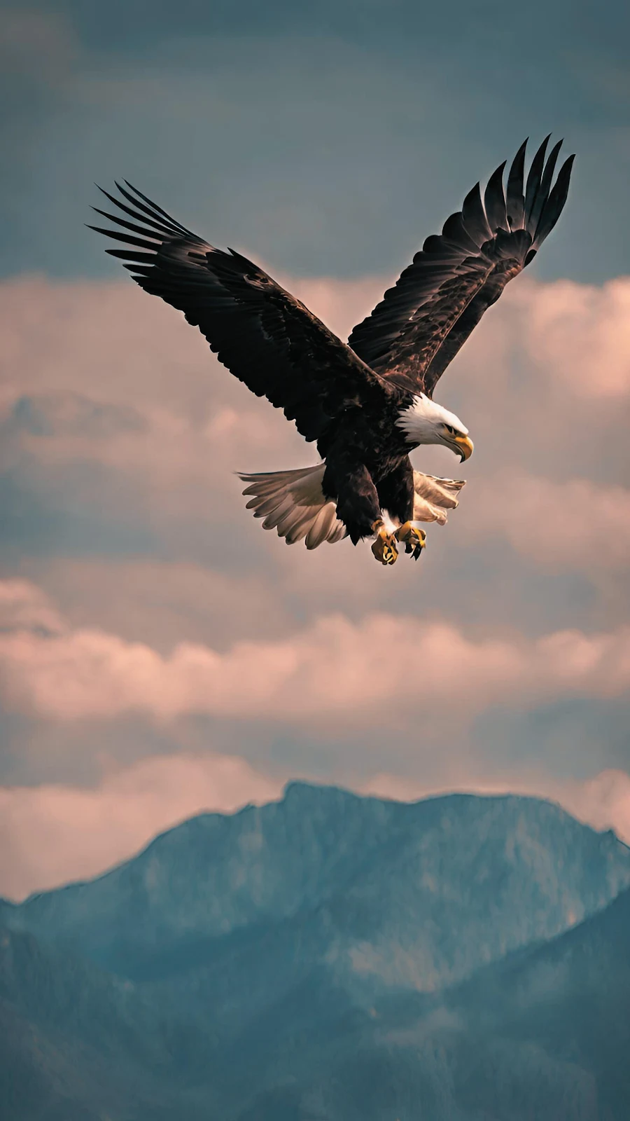 Bald Eagle Soaring Over Mountains - Wildlife Photography 4K iPhone Wallpaper (2160x3840)