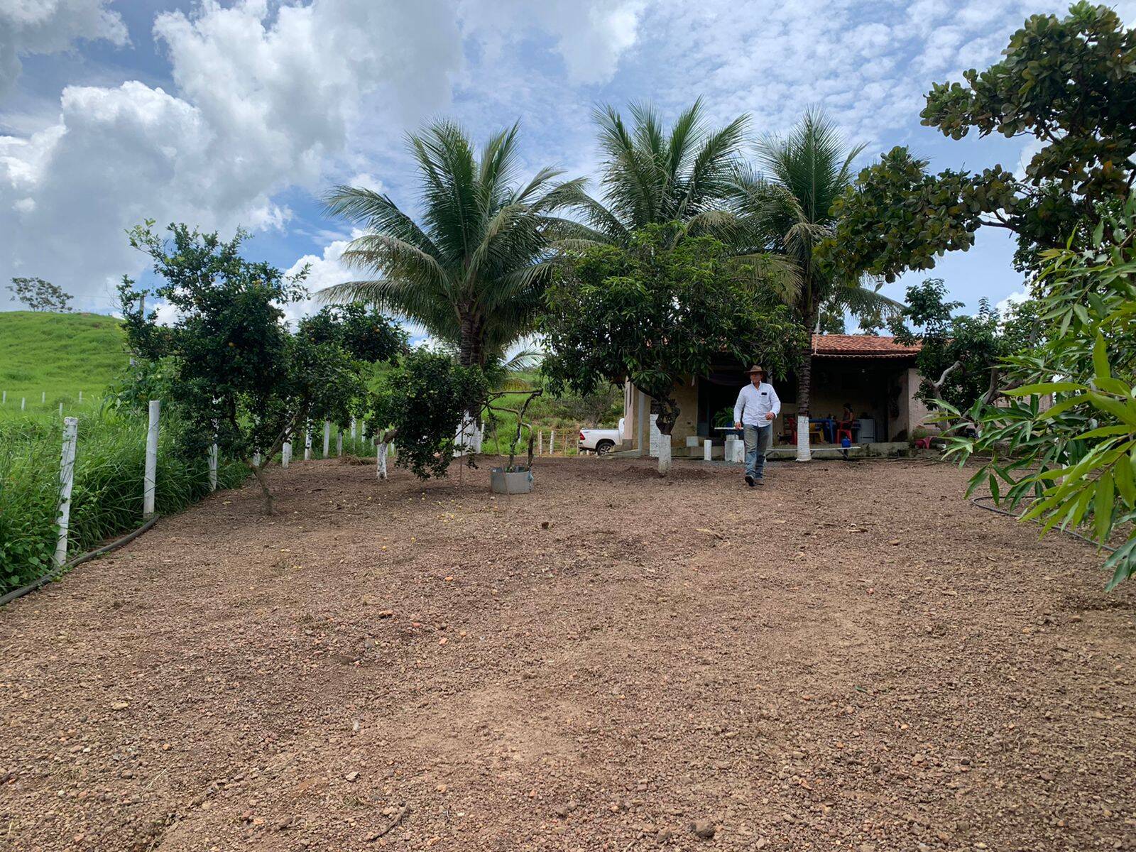 Fazenda em Pires do Rio-GO 3
