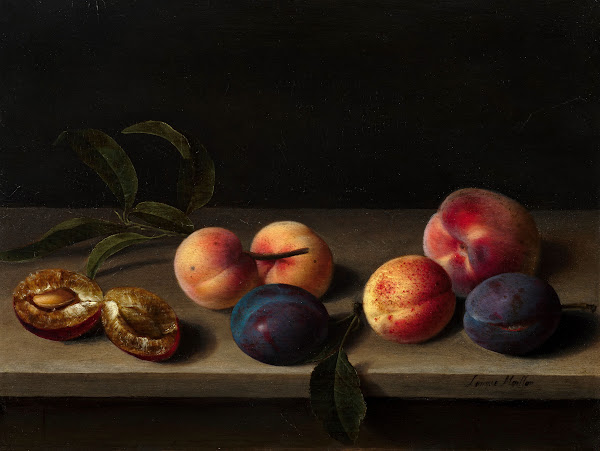 Peaches apricots and plums on an entablature
