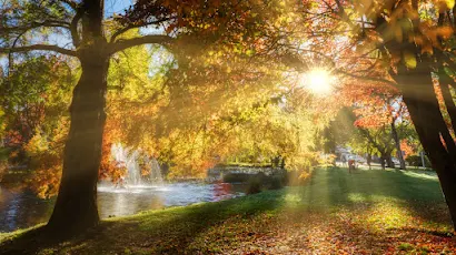 Landscape, New Zealand, Nature, Sunlight 4K Wallpaper Background