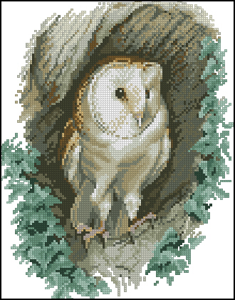 CMP JSBO402 Barn Owl