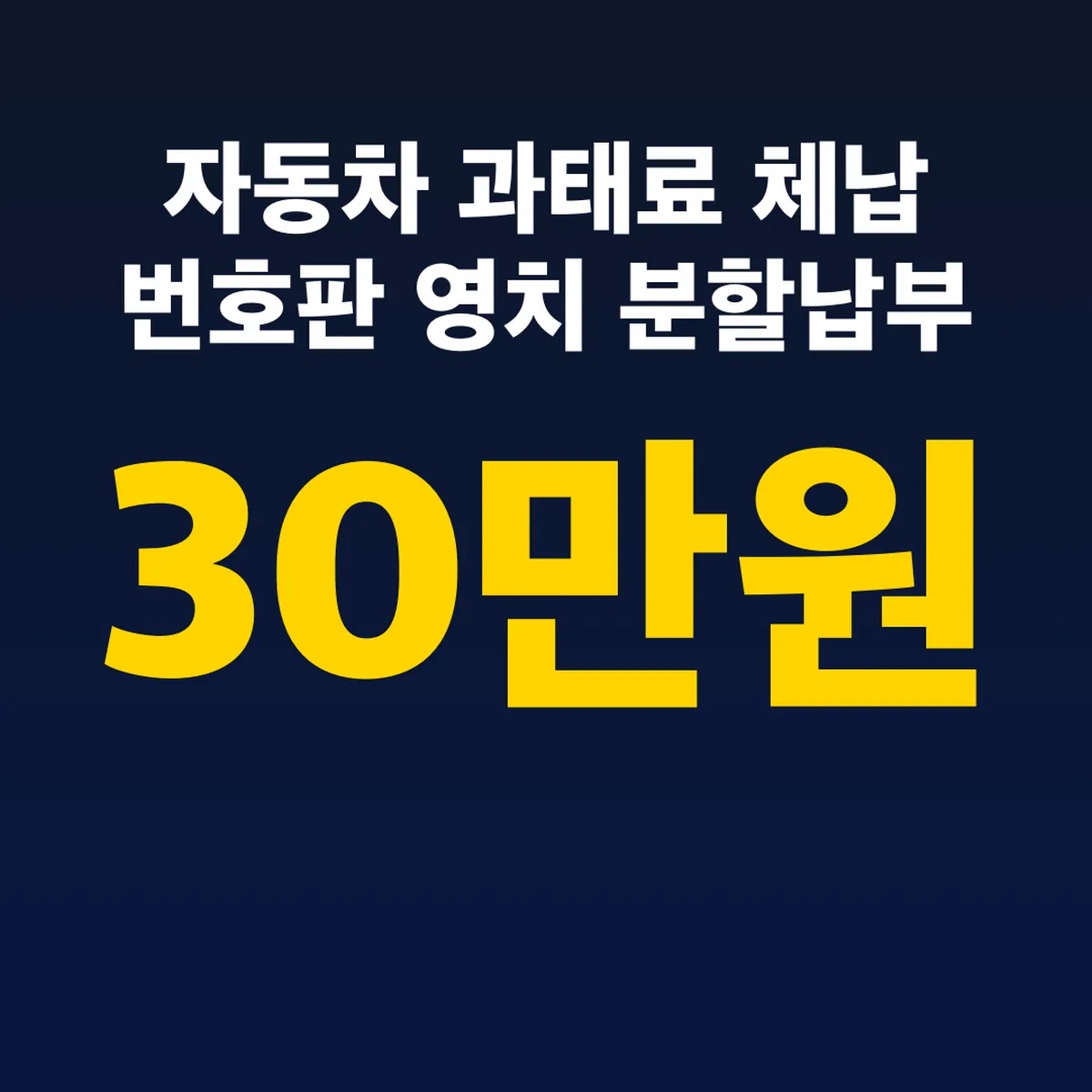 자동차 과태료 체납 30만원 번호판 영치 분할납부 1년