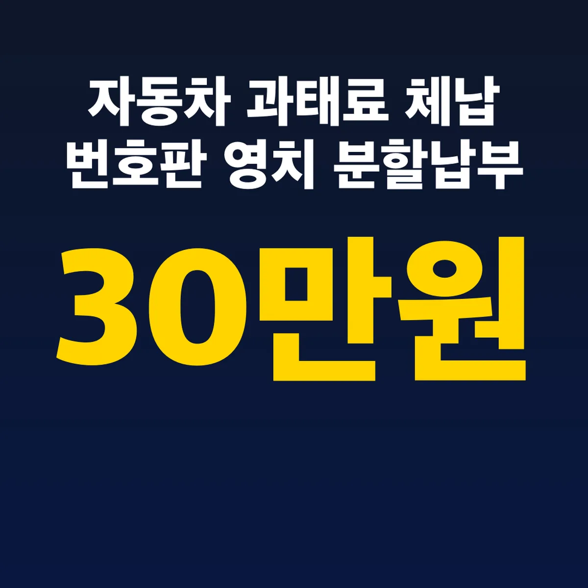 자동차 과태료 체납 30만원 번호판 영치 분할납부 1년