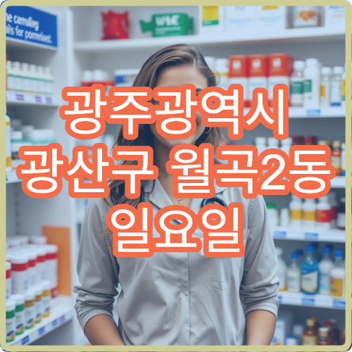 광주광역시 광산구 월곡2동 일요일 영업 약국 지사제·장염약 판매 안내