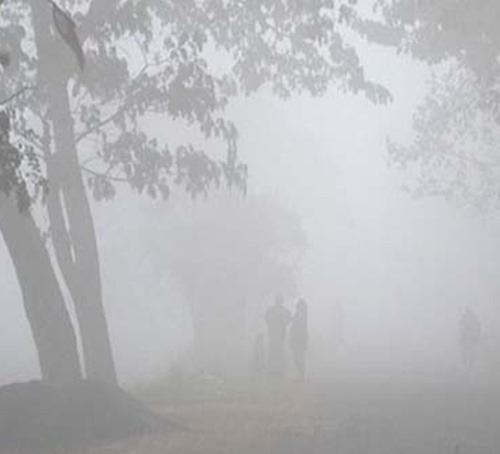 mist walkers