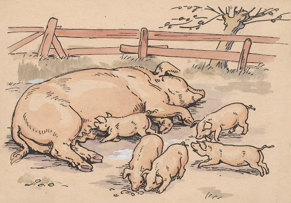 Sow and piglets in enclosure 20th century