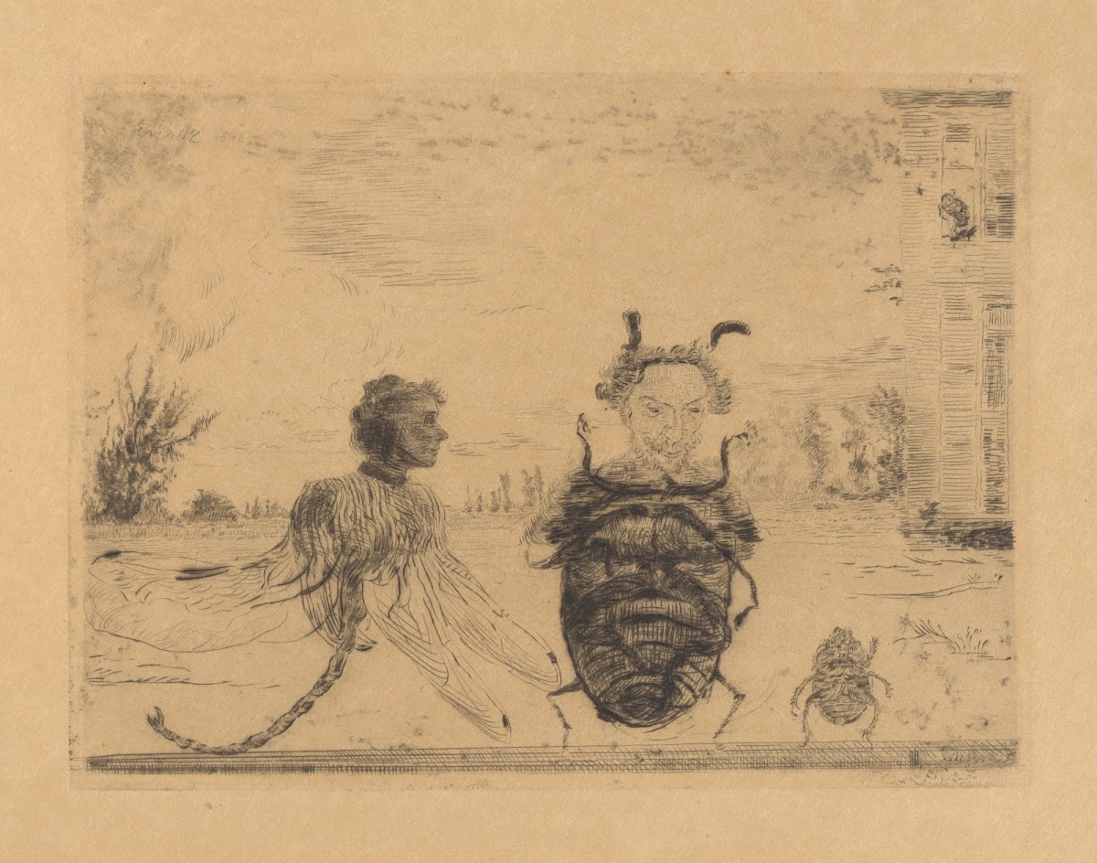 Zonderlinge insecten 1888