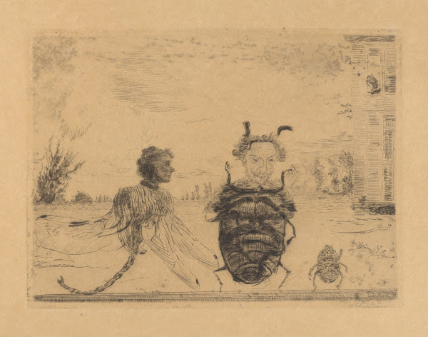 Zonderlinge insecten 1888