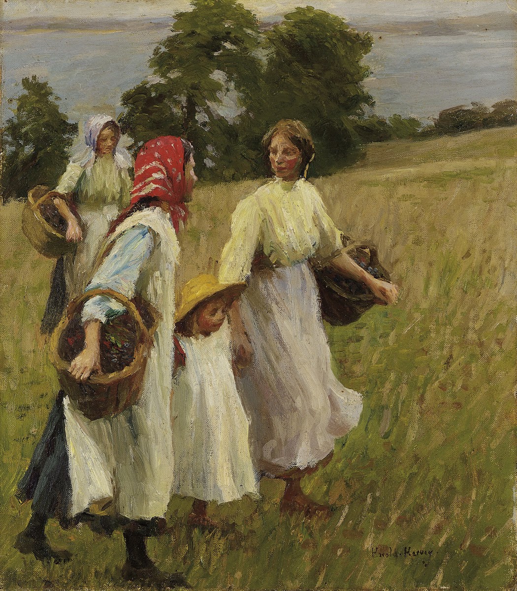 The Blackberry Harvest