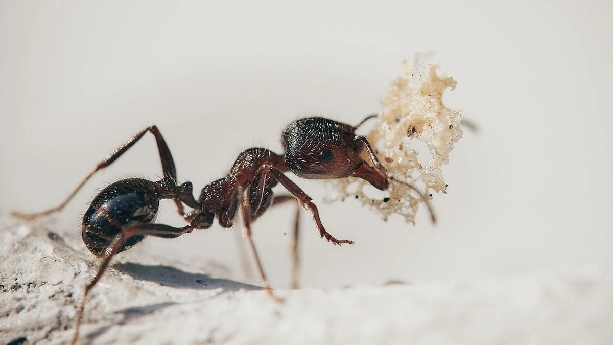 알바 계약서 작성 시 반드시 포함해야 할 조항과 주의점