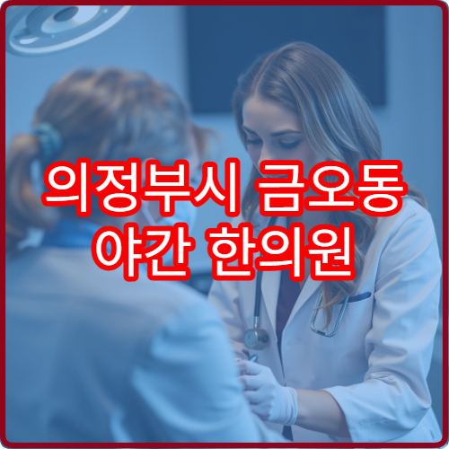 의정부시 금오동 야간 한의원 만성피로 보약 상담 가능한 곳