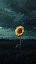 Bitluxy