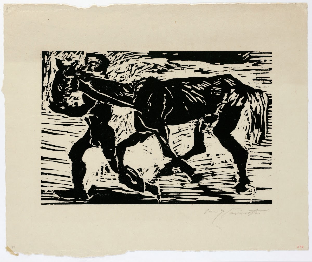 Mann Und Pferd 1920