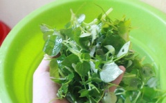 Rau càng cua cắt bỏ rễ, rửa sạch, ngắt bỏ bông, ngâm với nước có pha 1 muỗng cà phê muối.