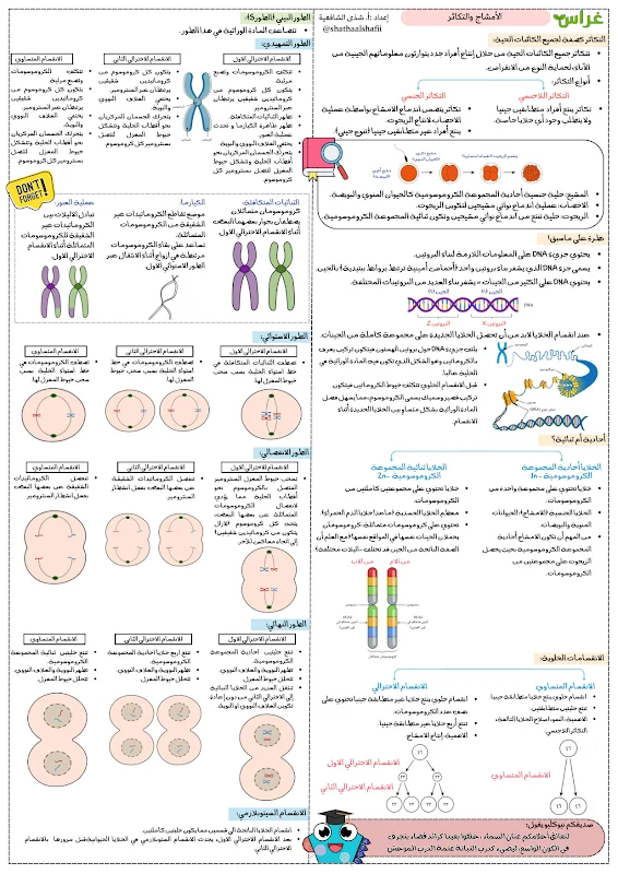 صورة الغلاف