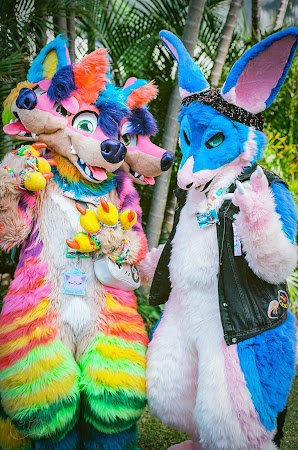 furdu-5-2.jpg