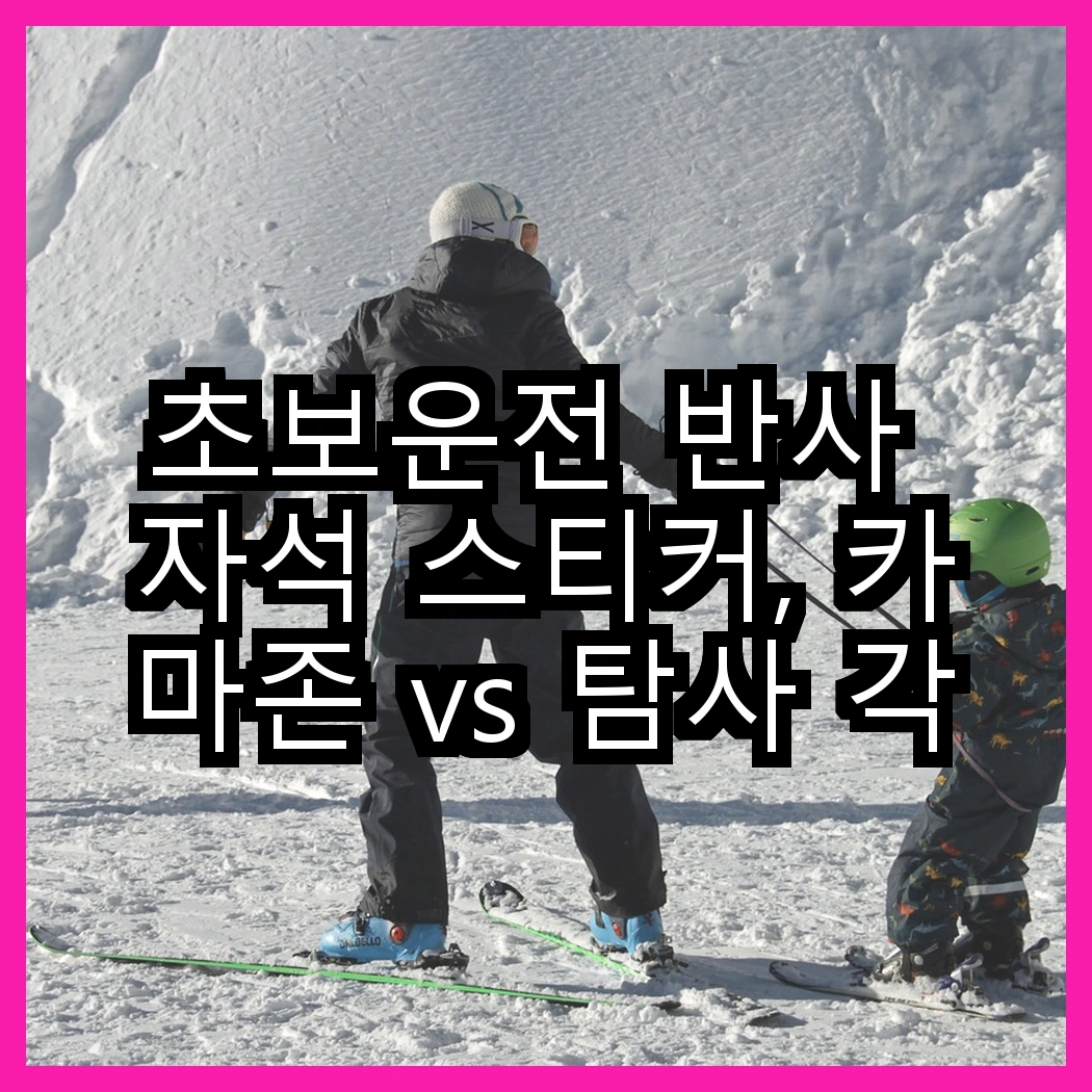 초보운전 반사 자석 스티커, 카마존 vs 탐사 각기 다른 매력! 어떤 선택이 필요할까요? 썸네일