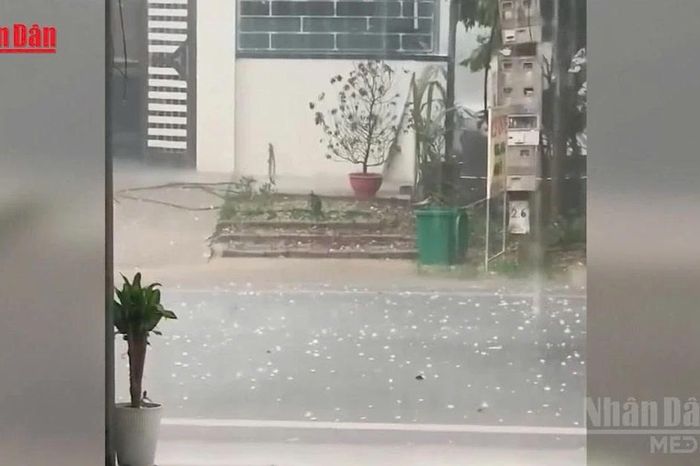 [Video] Cuối tuần có không khí lạnh, Bắc Bộ tiếp tục cảnh báo mưa đá, dông lốc - Báo Nhân Dân