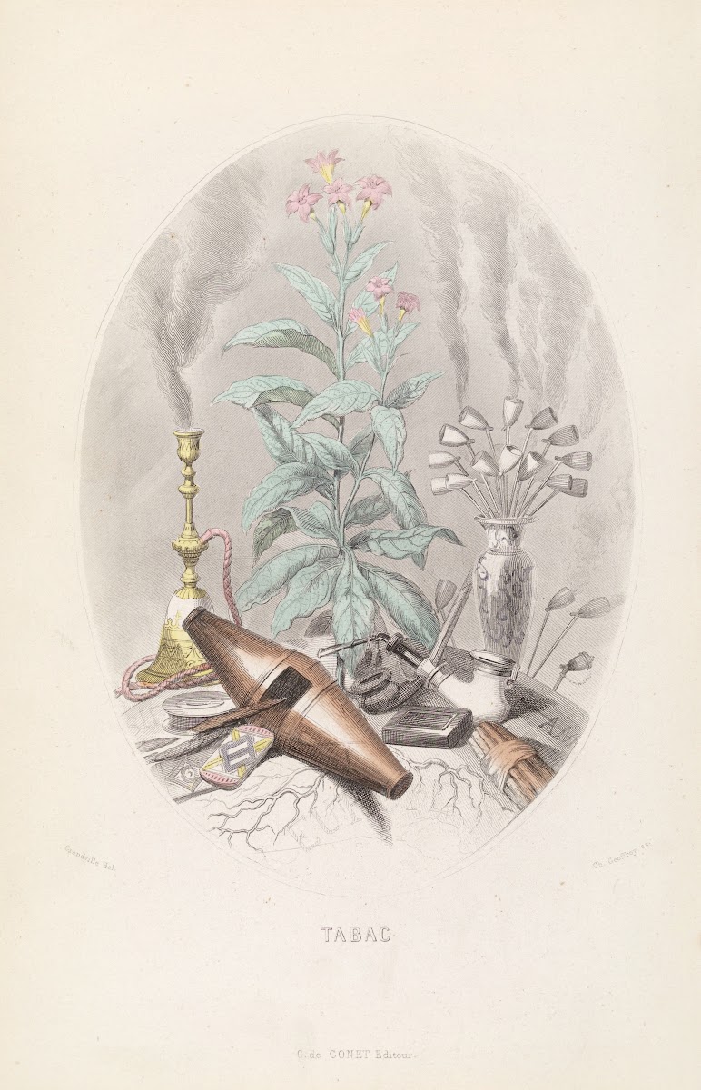 Tabac 1840s
