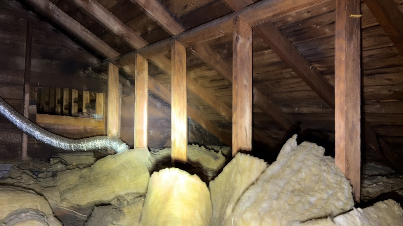 Copy of IMG_2026-03-13_14-13-00_810.jpg