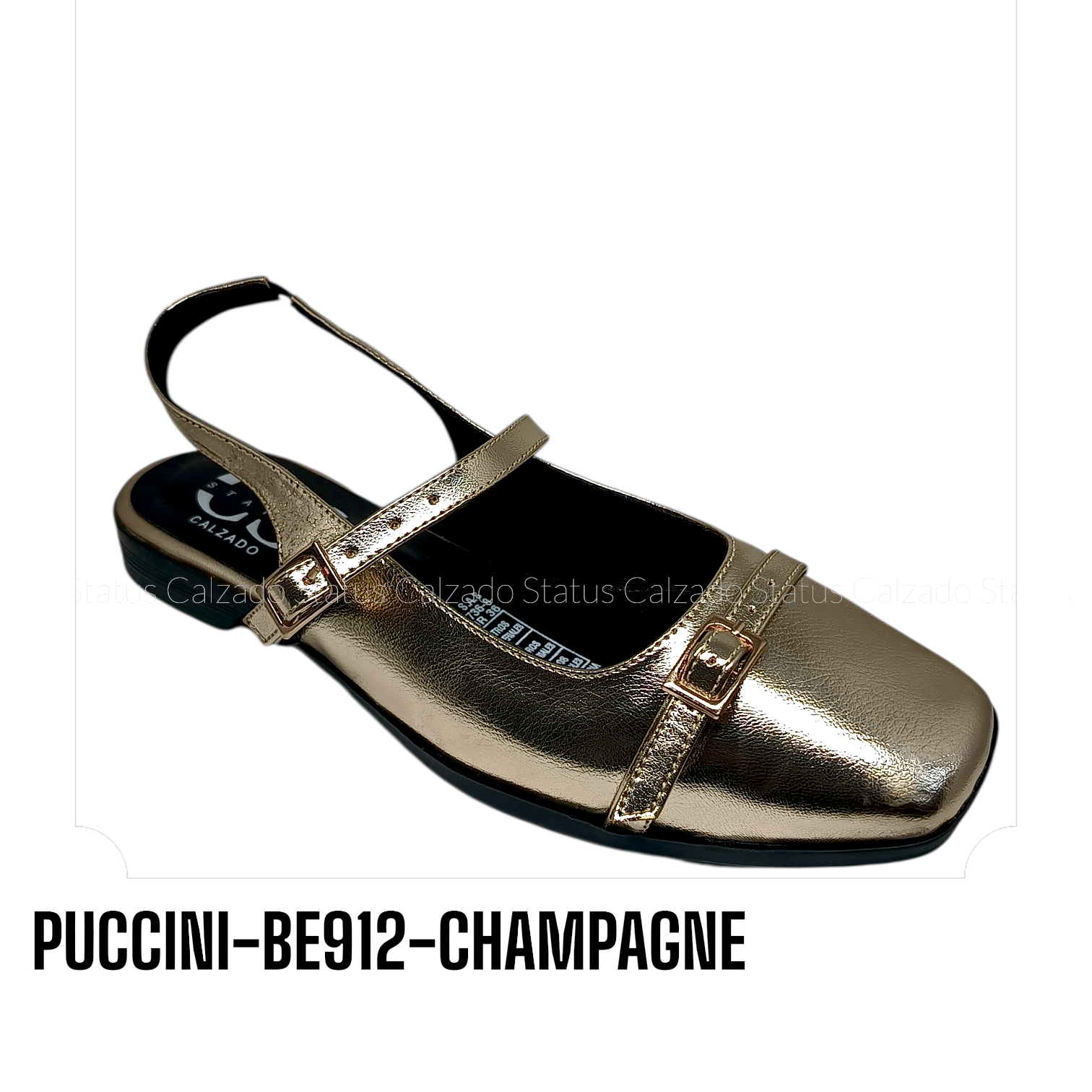 PUCCINI-BE912-CHAMPAGNE