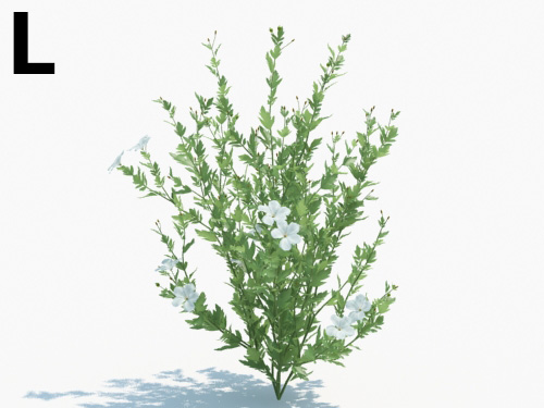 Maxtree - Plant Models Vol.3