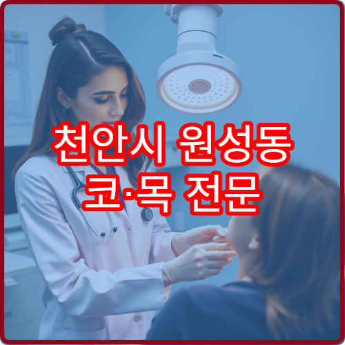 천안시 원성동 코·목 전문 야간 이비인후과 병원 리스트