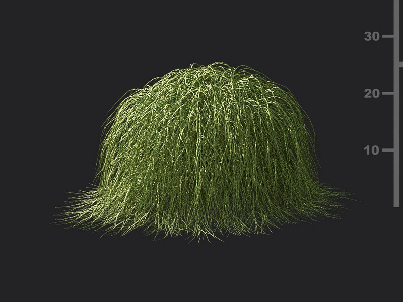 Maxtree - Plant Models Vol.119