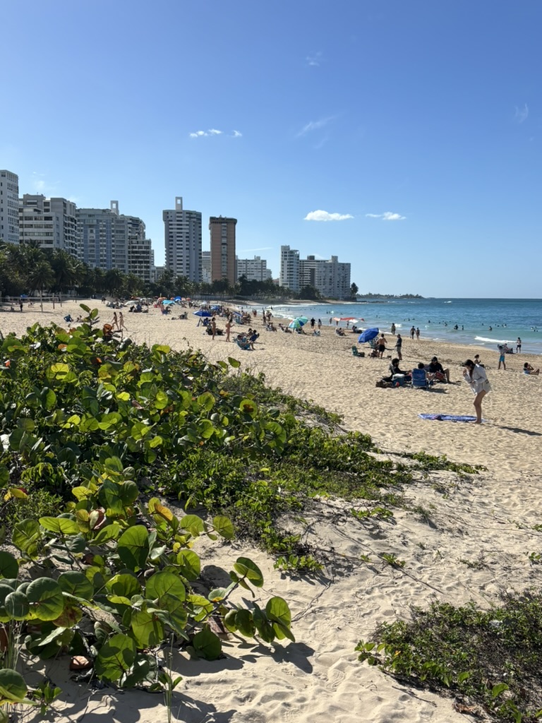 Crowds enjoying Ocean Park Beach on a sunny day