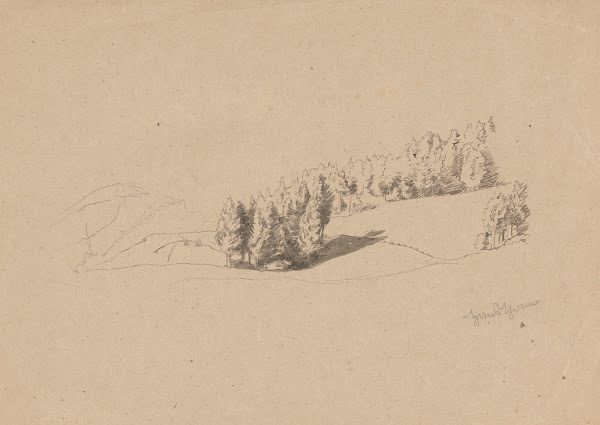 Trees on the Edge of a Forest 1870