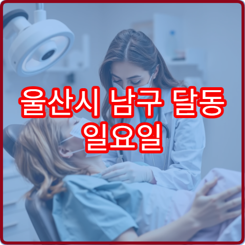 울산시 남구 달동 일요일 이비인후과 진료 가능한 병원 감기 증상 진료 안내
