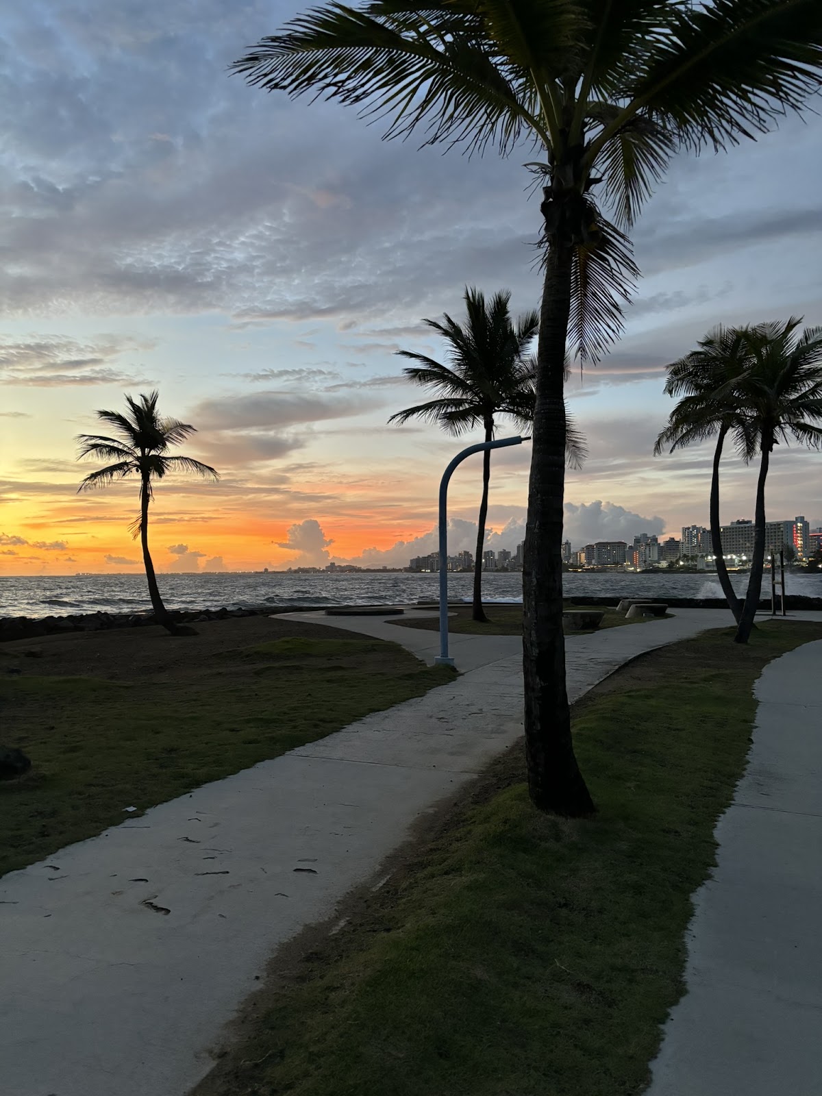 Sunset over Ocean Park Beach with palm trees, a 5-minute walk from our apartments