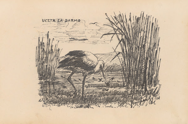 Uczta za darmo 1896