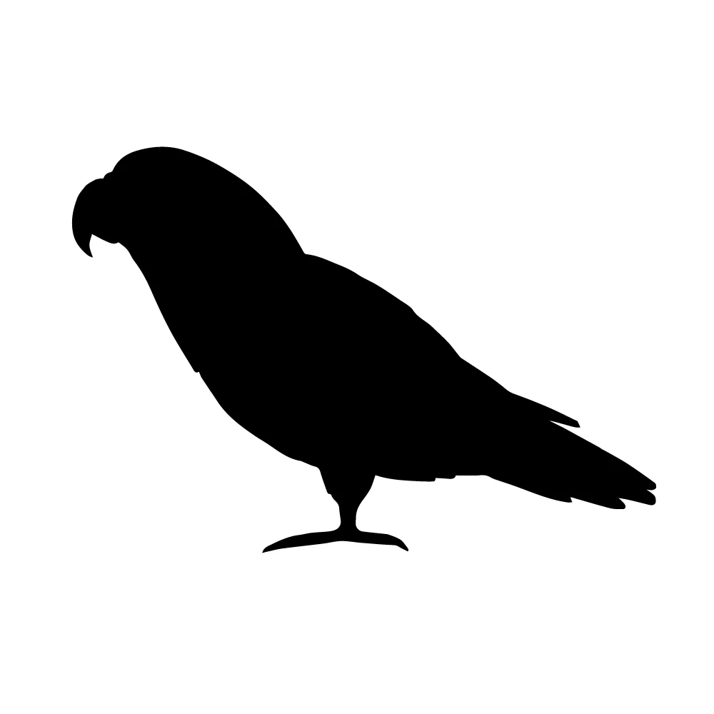 Black silhouette of an African Grey Parrot standing on its feet, facing left, with its characteristic hooked beak.