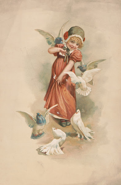 Doves 1893