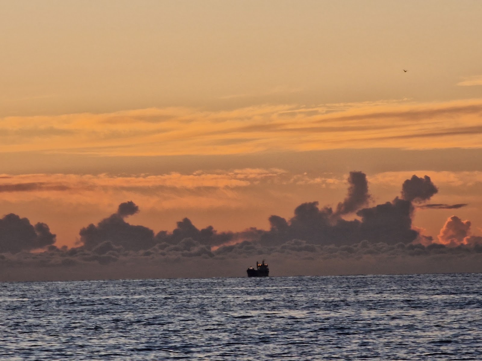 Photo de la navigation NAV-028