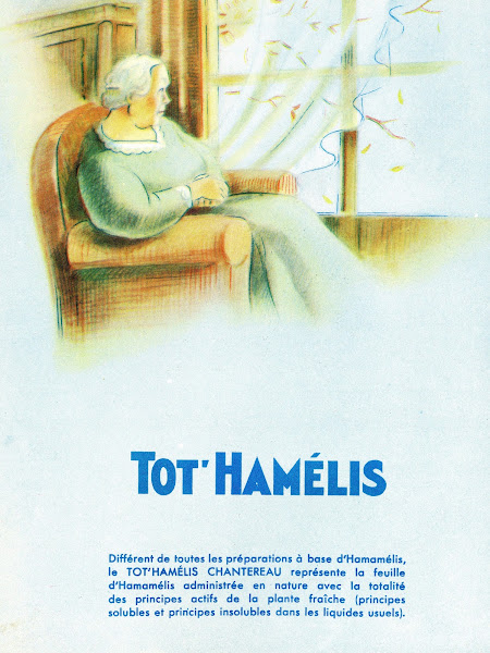 TotHamelis 1910 1950