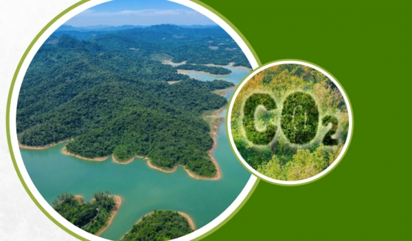 PV Power Sẵn Sàng Tham Gia Giao Dịch Lô Hàng Đầu Tiên Trên Thị Trường Carbon