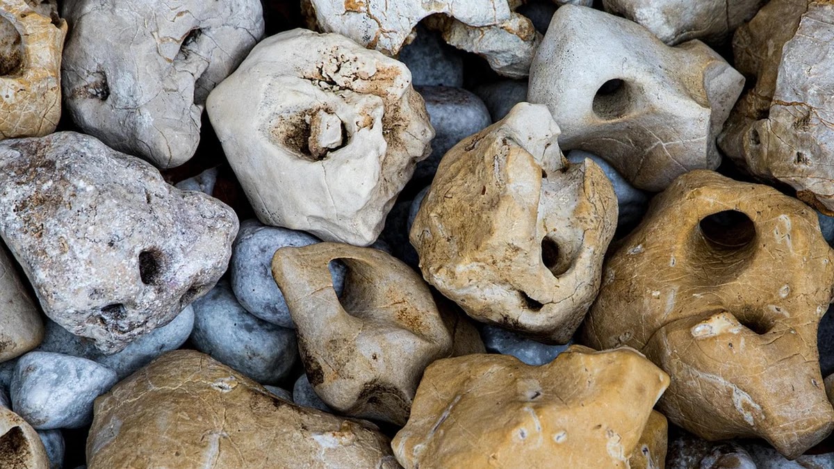 힙 자료구조의 종류별 특징과 정렬 알고리즘 적용 차이