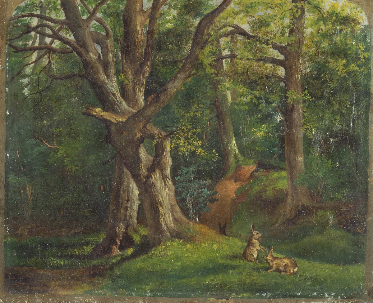 Woodland scene with rabbits