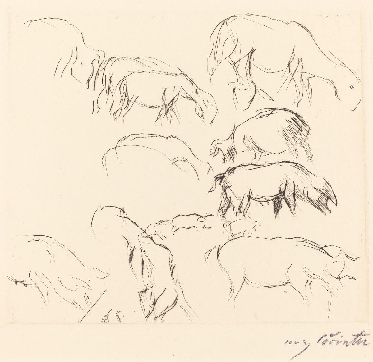 Animal Studies Verschiedene Tierstudien 1917