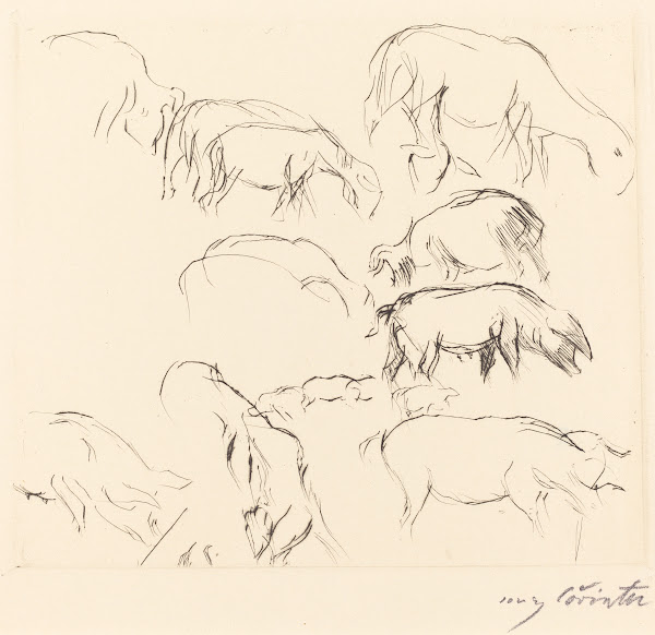 Animal Studies Verschiedene Tierstudien 1917