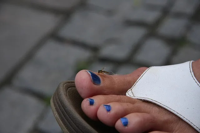 &lsquo;손해를 보다&rsquo;라는 표현은 왜 돈이 아닌 감정에서 시작됐을까? 언어의 기원