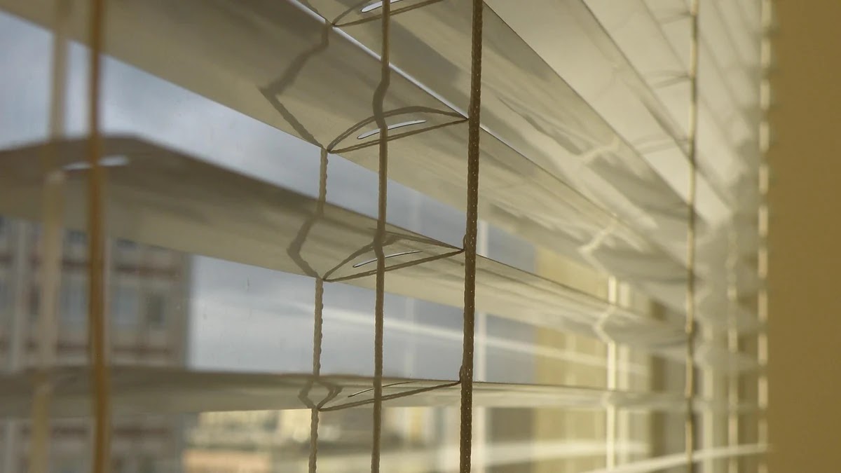 관용구 눈 감고 아웅의 의미와 비슷한 표현 비교