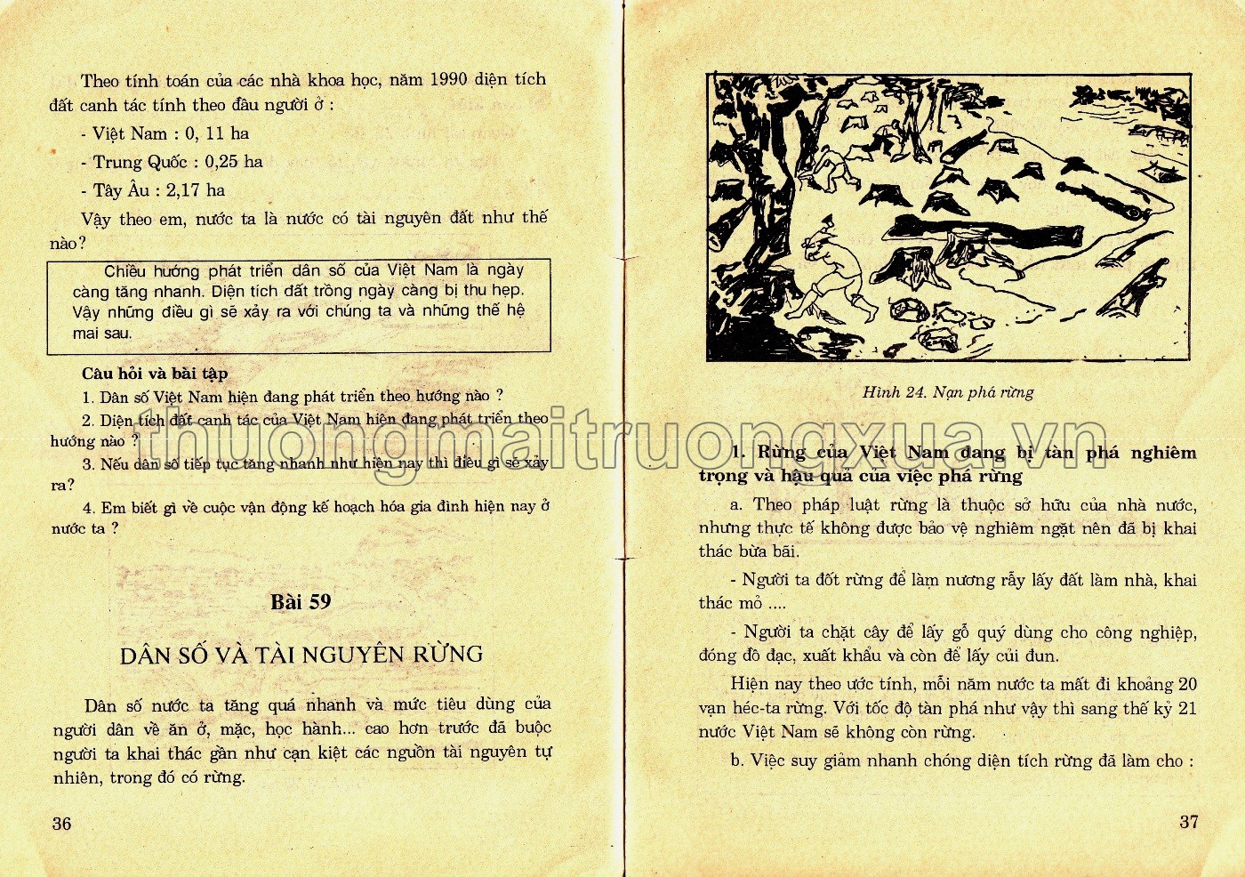 Tự nhiên và xã hội 5 (1994) - Trang 91