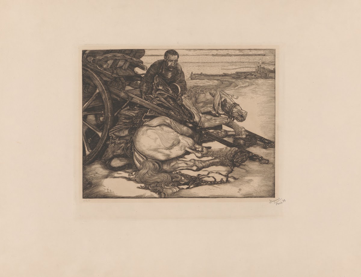 Gewond trekpaard 1902