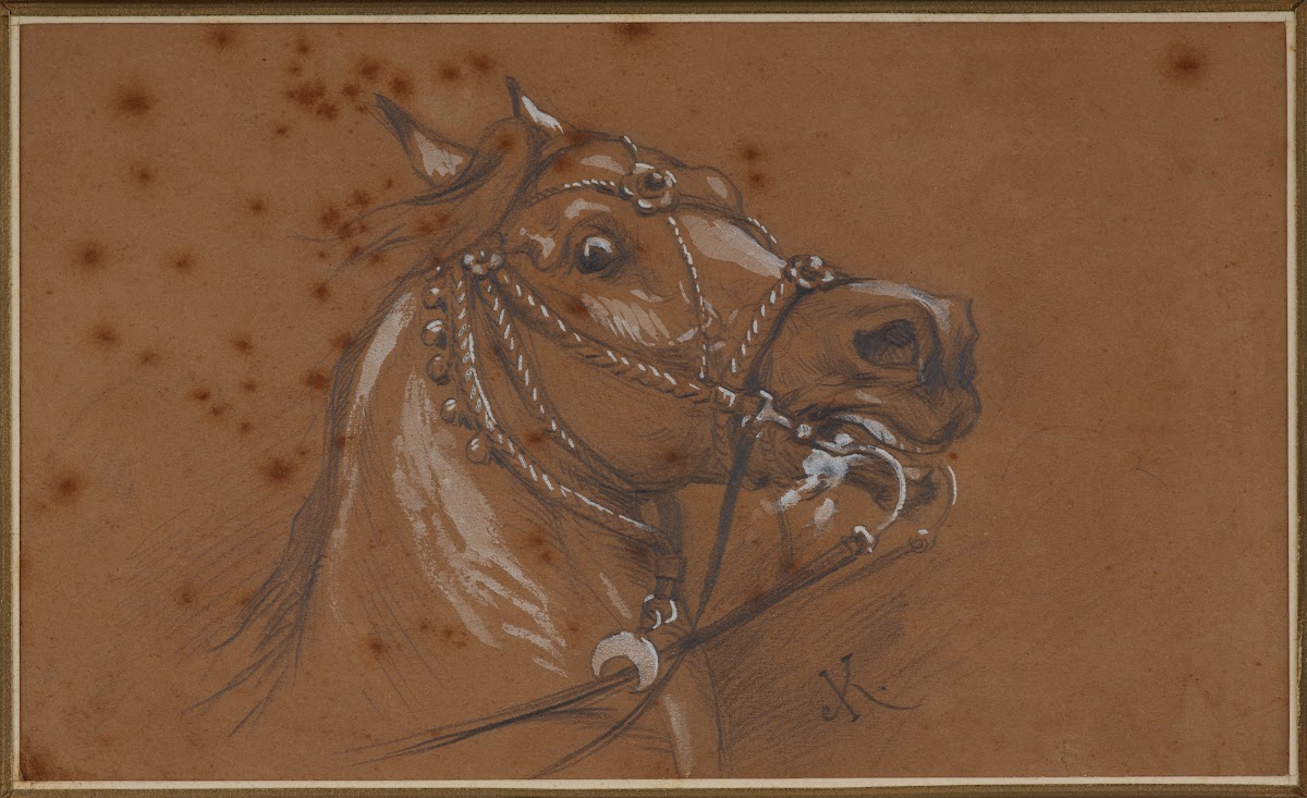 Study of a harnessed horse head