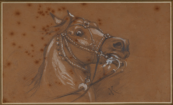 Study of a harnessed horse head