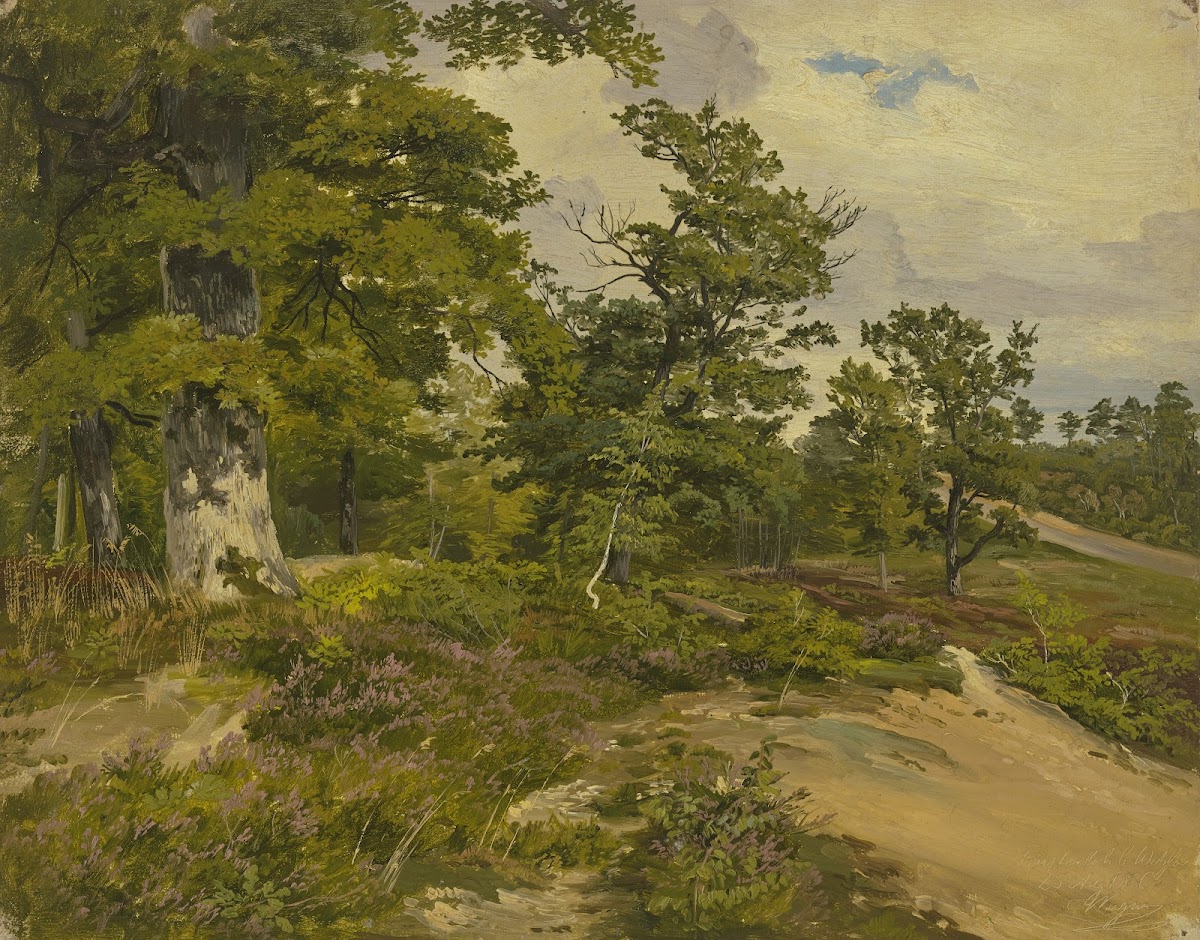 Forest near Wetzlar 1836