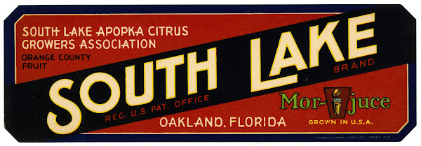 South Lake Brand Fruit Label 1930 1950